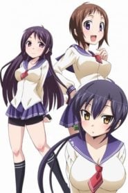 Okusama Ga Seito Kaichou!: Temporada 2