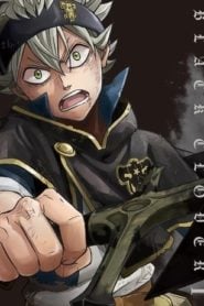 Black Clover: Temporada 1