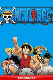 One Piece: Temporada 19