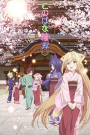 Konohana Kitan: Temporada 1