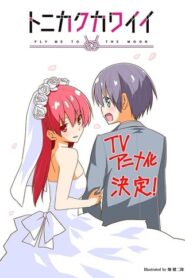 Tonikaku Kawaii (Dublado): Temporada 1