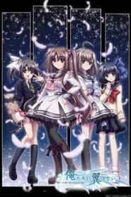 Oretachi ni Tsubasa wa Nai: Under the Innocent Sky: Temporada 1