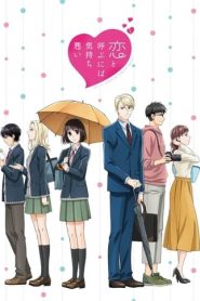 Assistir Kimi no Koto ga Daidaidaidaidaisuki na 100-nin no Kanojo -  Episódio 001 Online em HD - AnimesROLL