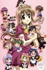 Nogizaka Haruka No Himitsu: Temporada 2