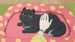 Kawaisugi Crisis Ep. 11