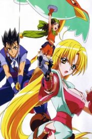 Grenadier: Hohoemi No Senshi: Temporada 1