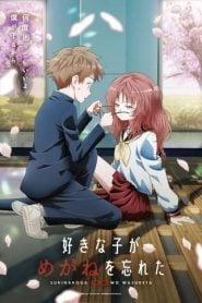Suki na Ko ga Megane wo Wasureta: Temporada 1