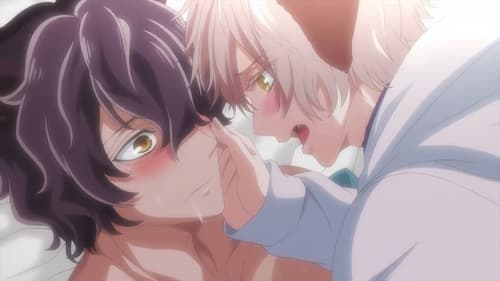 Mori no Kuma-san, Toumin-chuu. Episódio 1