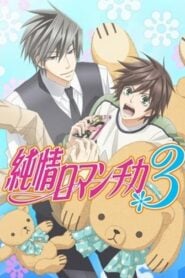 Junjo Romantica: Temporada 3