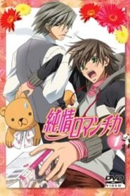 Junjo Romantica: Temporada 1