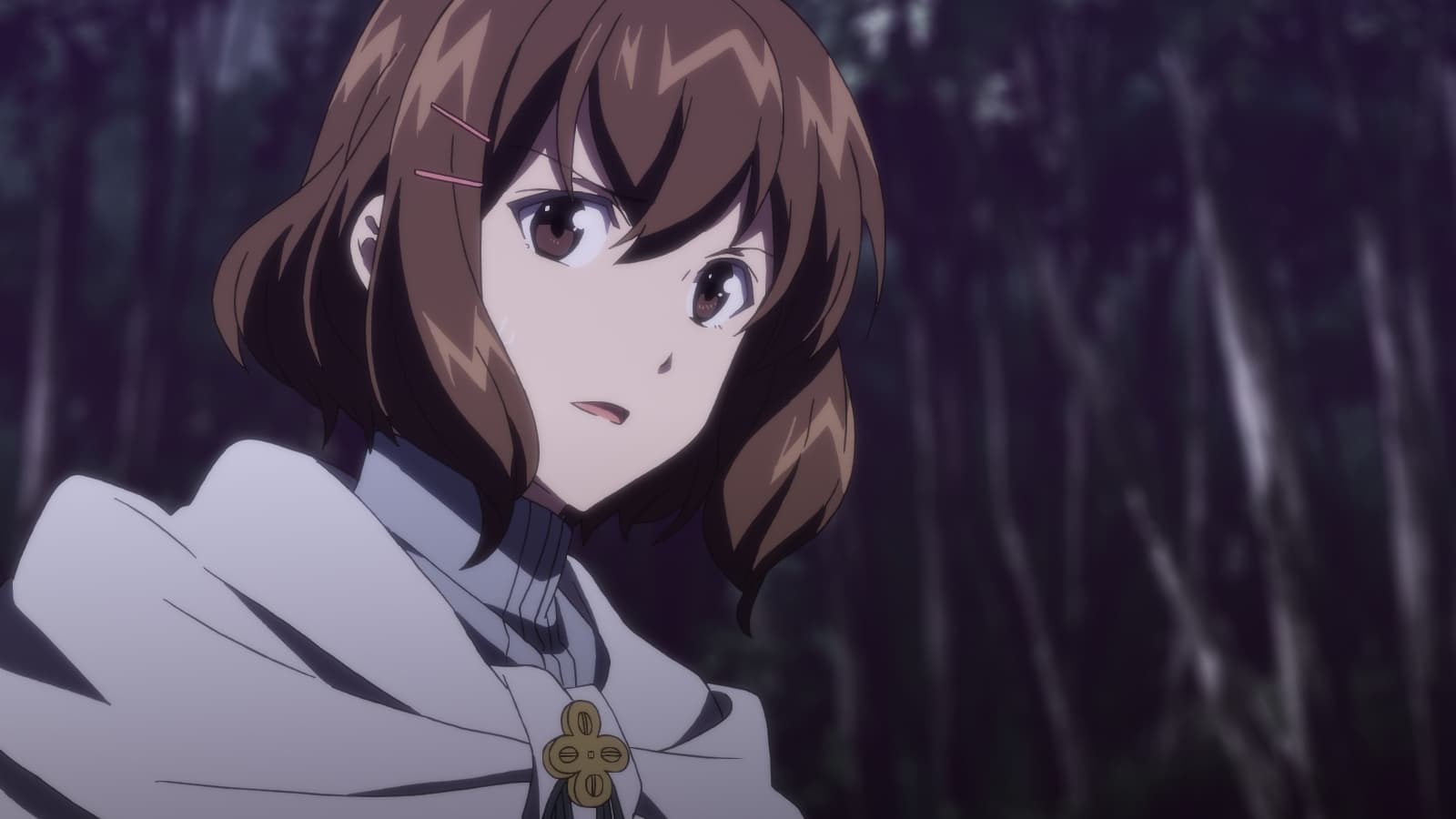 Seijo no Maryoku wa Bannou Desu Episódio 12