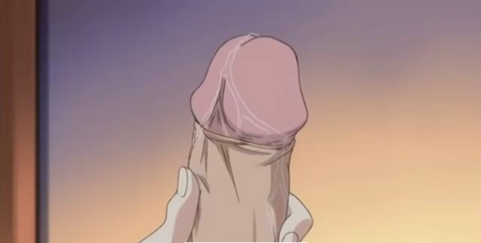 Aniyome wa Ijippari Episódio 1