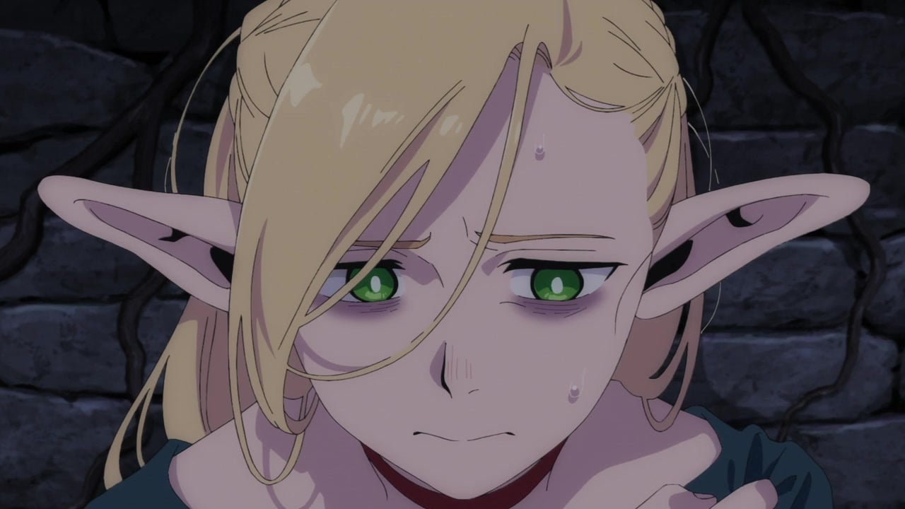 Dungeon Meshi (Dublado) Episódio 8