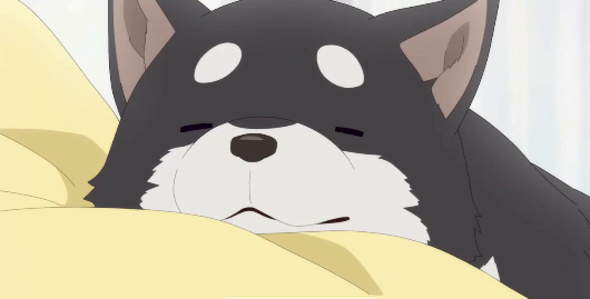 Hananoi-kun to Koi no Yamai (Dublado) Episódio 8