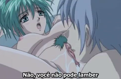 Flutter of Birds Episodio 1