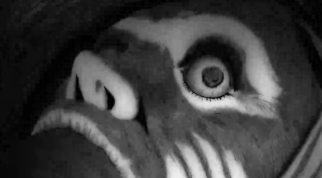Uzumaki (Dublado) Episódio 4