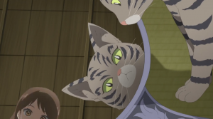 Chuuzenji-sensei Mononoke Kougiroku: Sensei ga Nazo wo Hodoite Shimau kara Ep. 7
