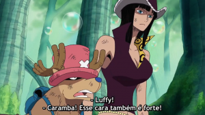 One Piece Ep. 1135