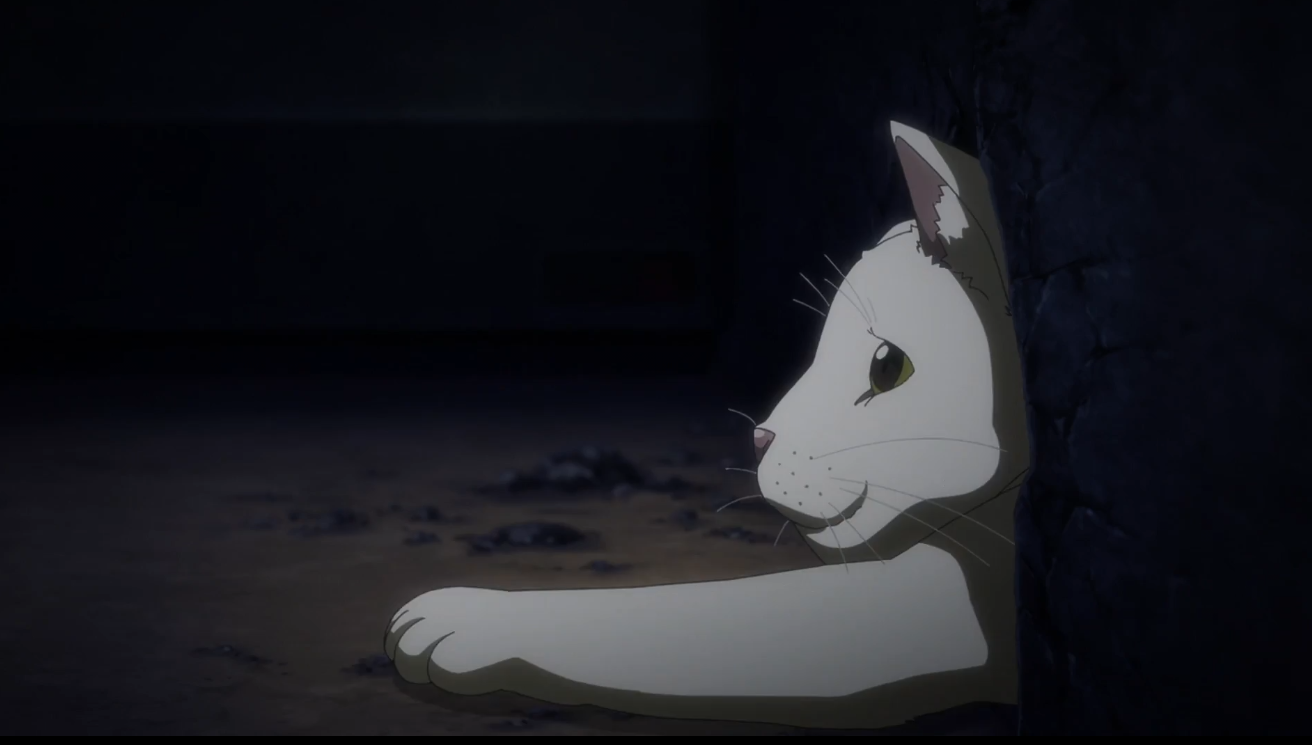 Nyaight of the Living Cat (Dublado) Episódio 1