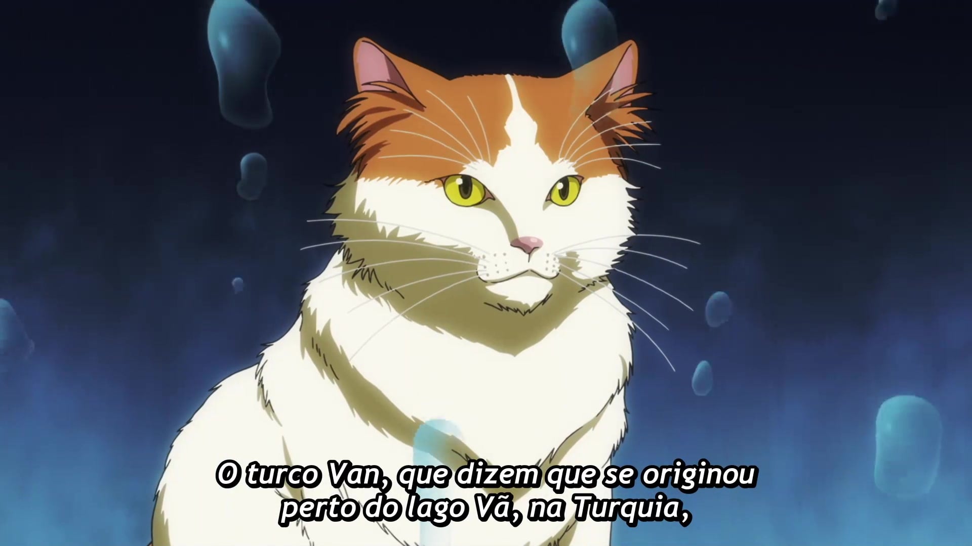 Nyaight of the Living Cat Episódio 7
