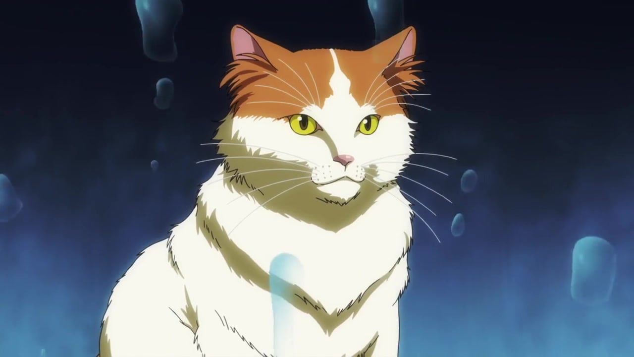 Nyaight of the Living Cat (Dublado) Episódio 7