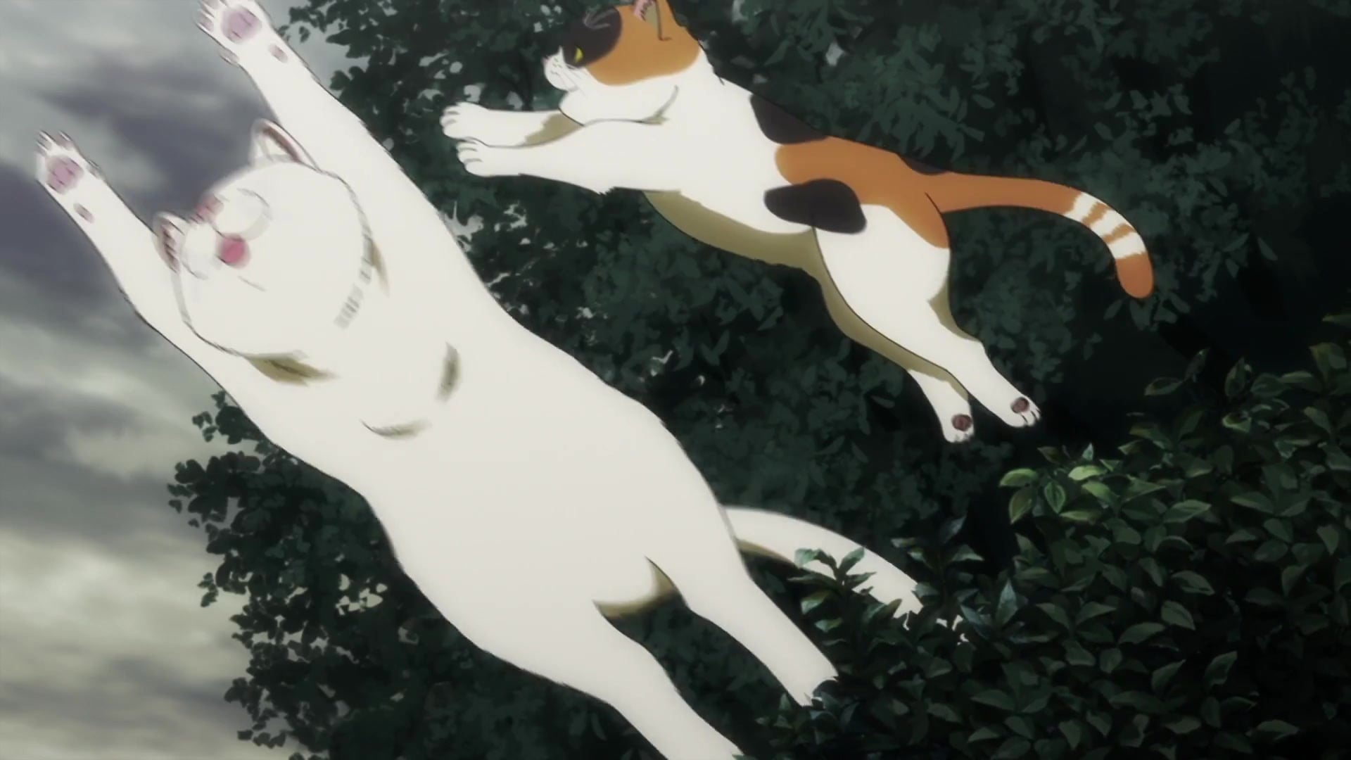 Nyaight of the Living Cat Episódio 10