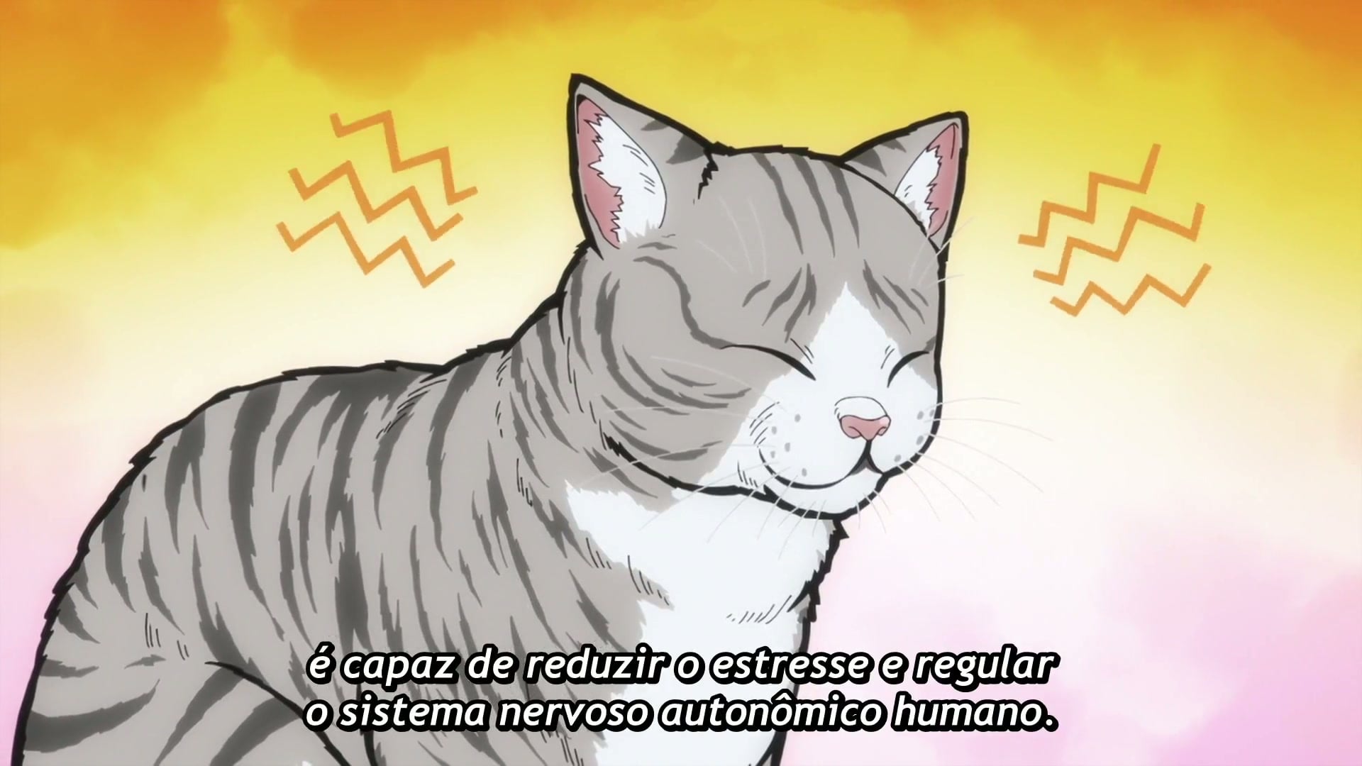 Nyaight of the Living Cat Episódio 12