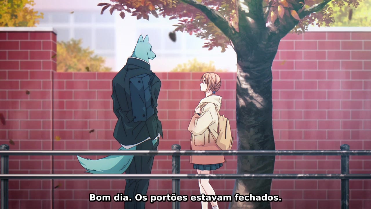 Kimi to Koete Koi ni Naru Episódio 12