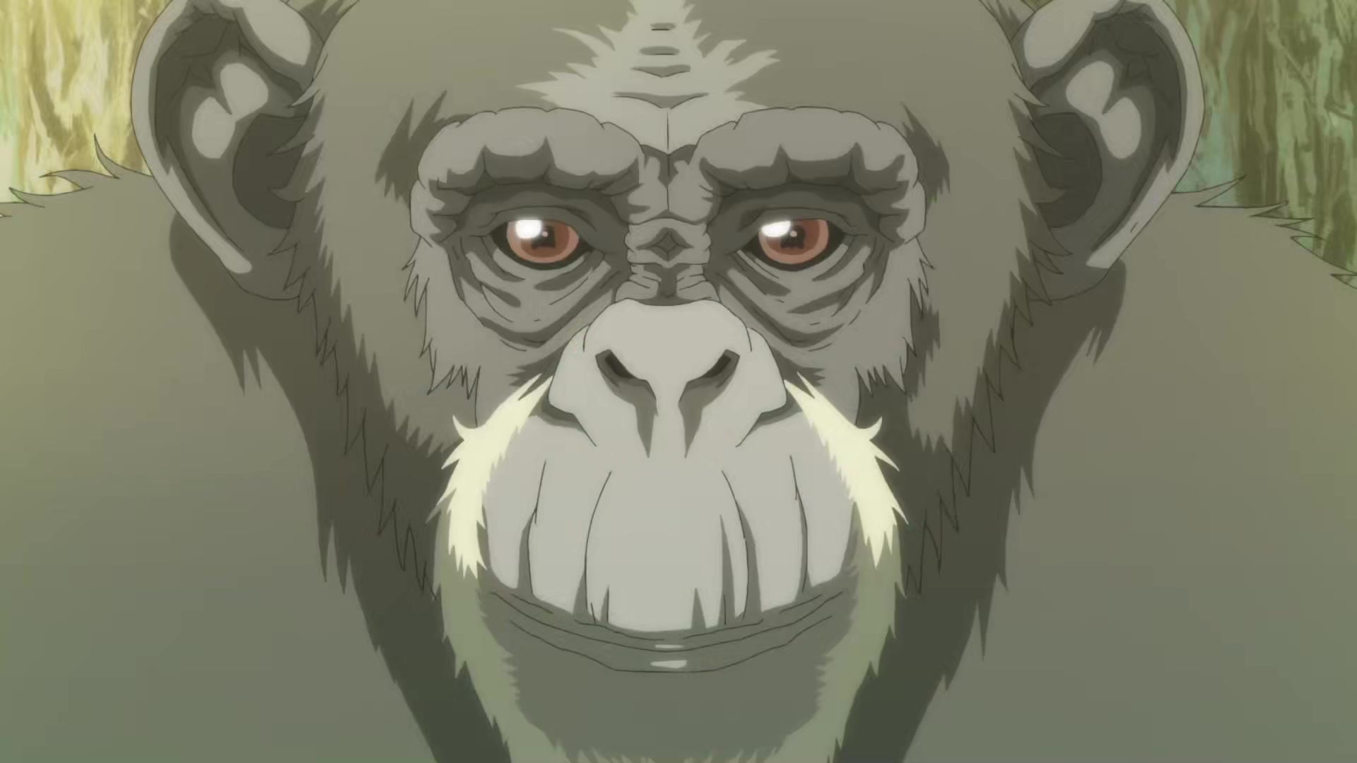 Darwin Jihen Episódio 8