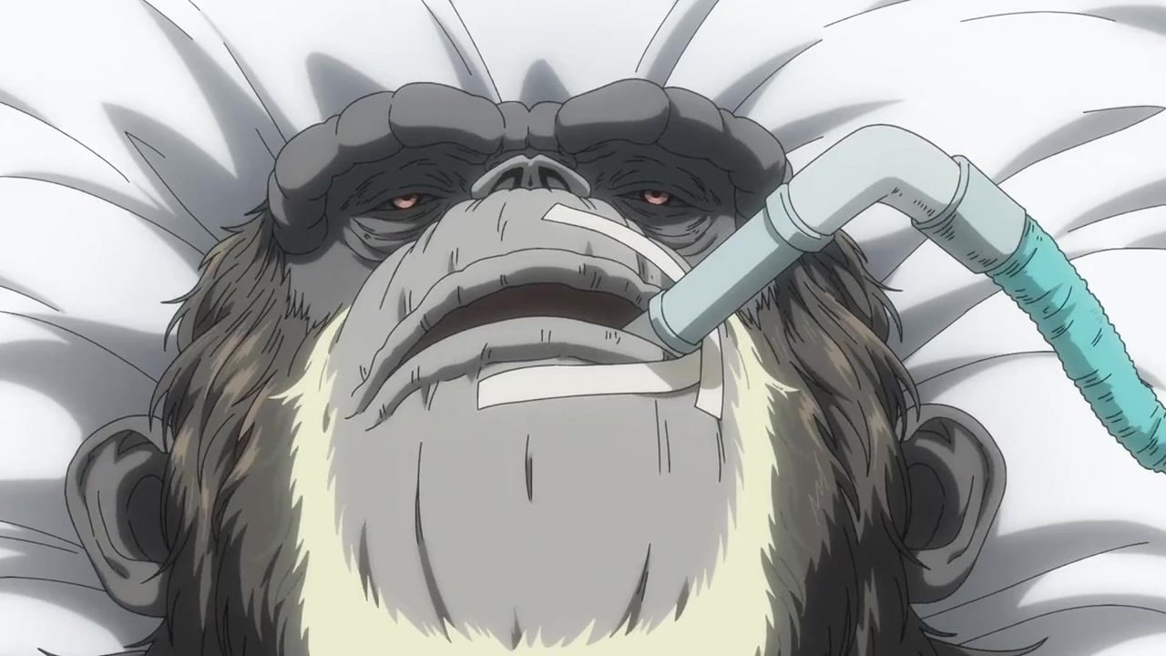 Darwin Jihen Episódio 13