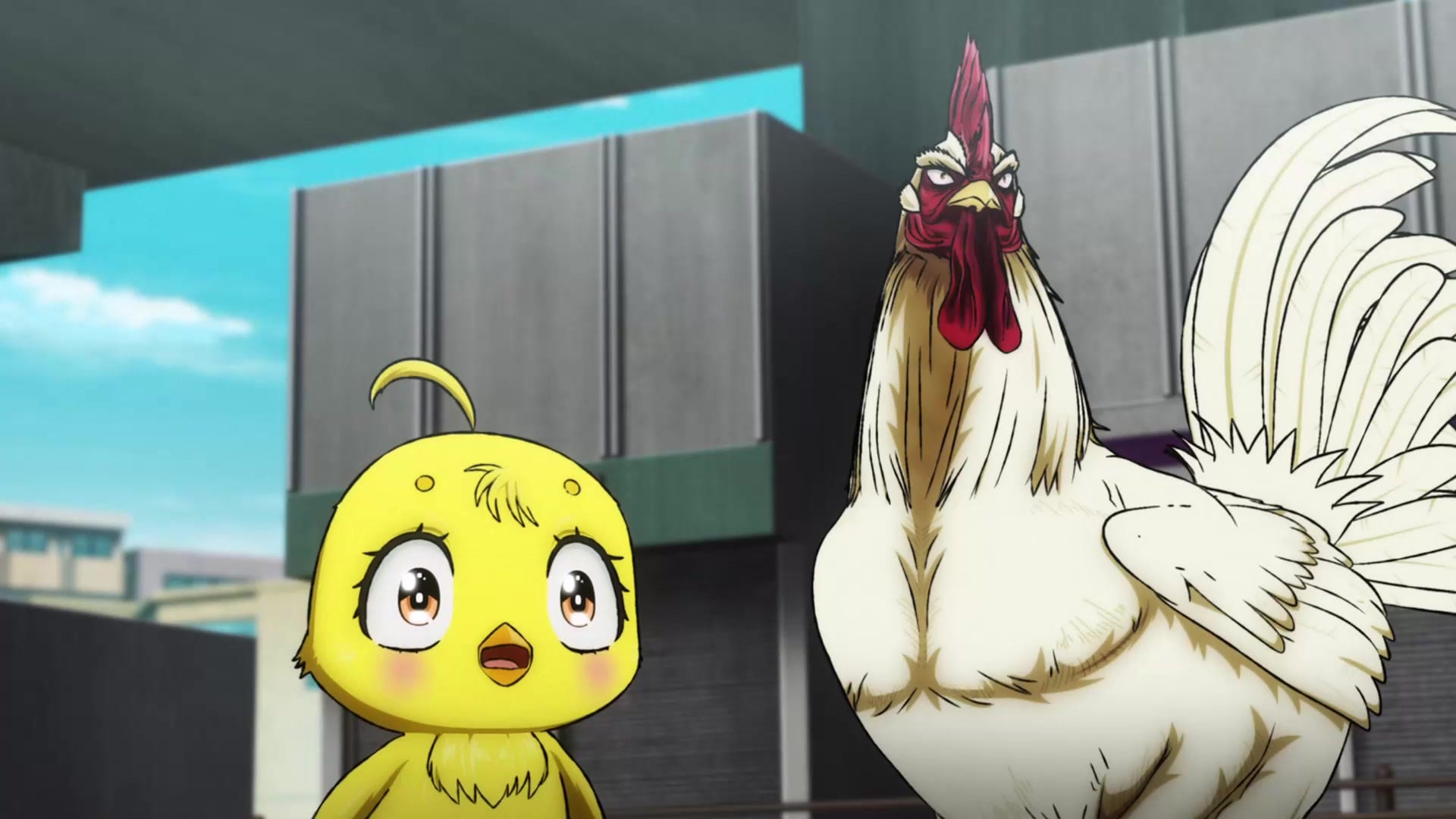 Niwatori Fighter Episódio 2