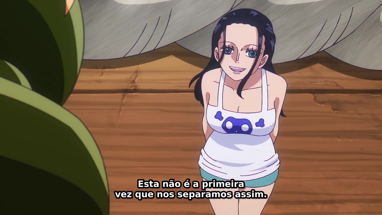 One Piece Episódio 1160