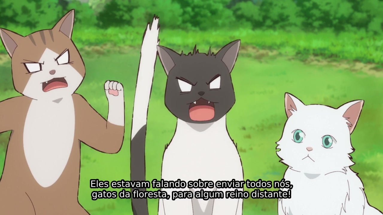 Neko to Ryuu Episódio 3