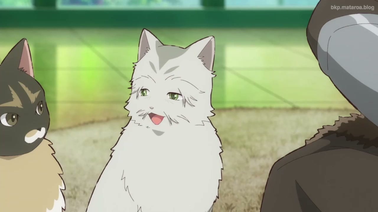 Neko to Ryuu Episódio 11